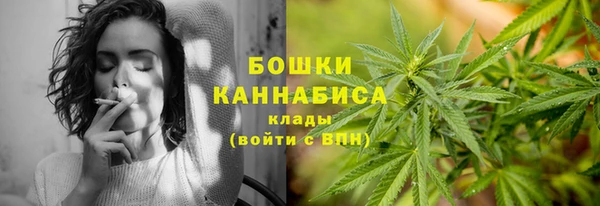СК Бородино