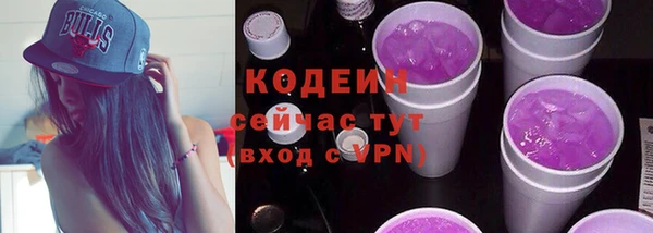 СК Бородино