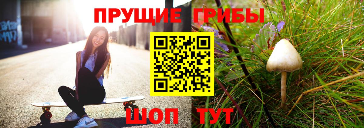 Псилоцибиновые грибы Psilocybine cubensis Вятские Поляны