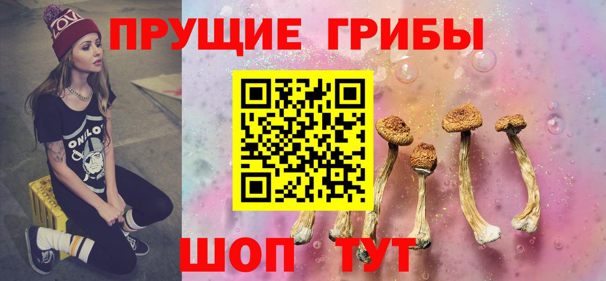 МЕФ Вятские Поляны